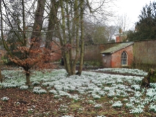 Snowdrop walk at Lytham Hall